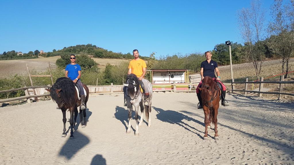 La Locanda dei Cavalieri Affittacamere Lugagnano Val d'Arda Esterno foto